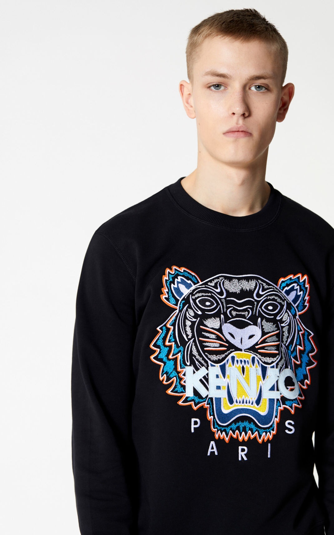 Tiger Sweatshirt - 2