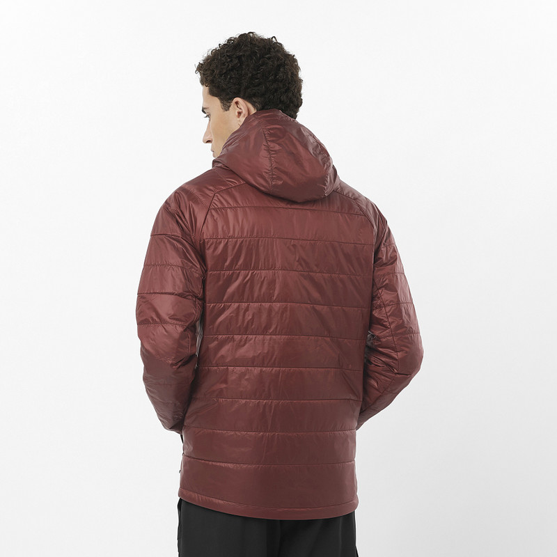 SALOMON OUTLINE outlook