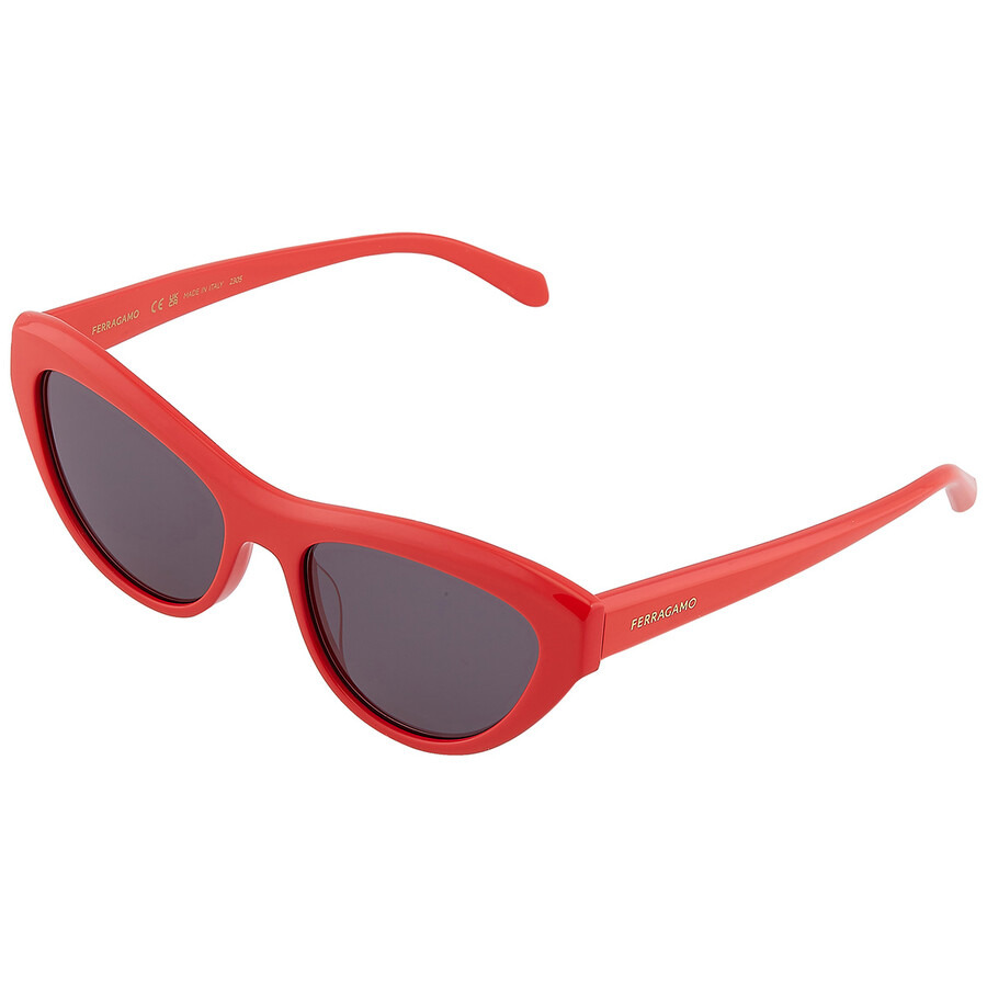 Salvatore Ferragamo Grey Cat Eye Ladies Sunglasses SF1103S 600 55 - 4