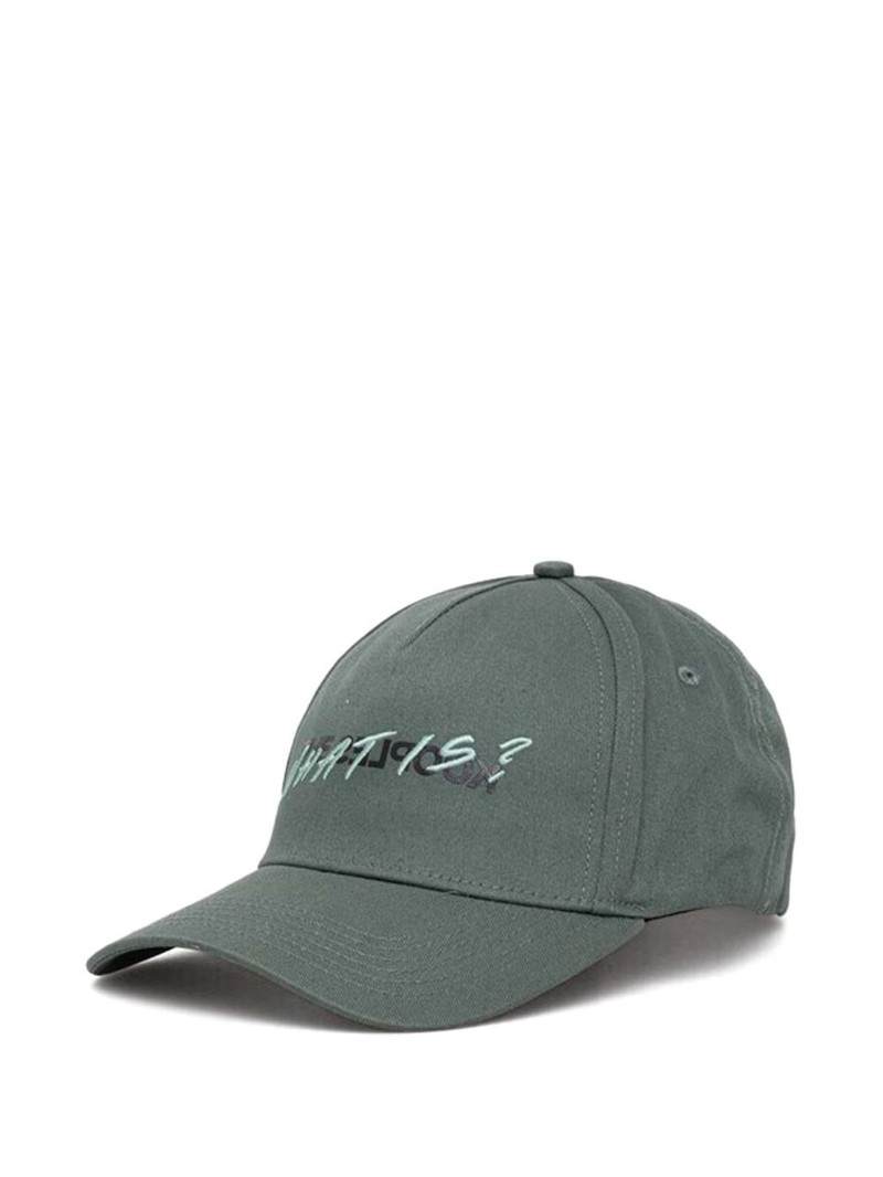 embroidered cap 1