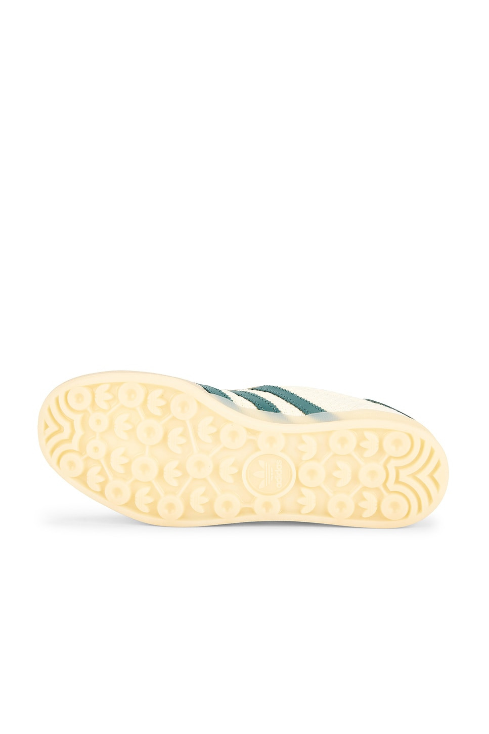 Gazelle Indoor - 6