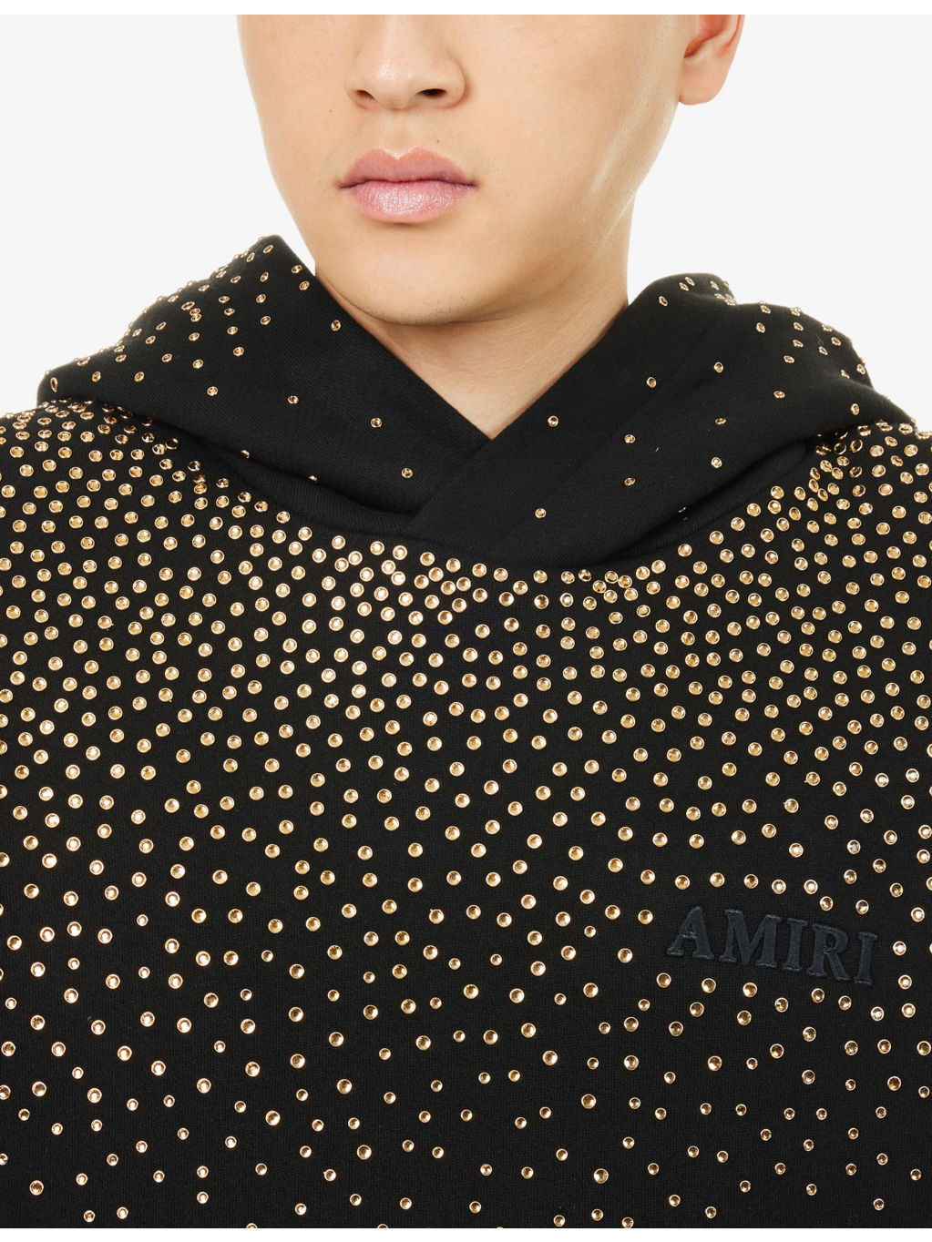 Hotel Crystal Cotton-Jersey Hoodie - 5