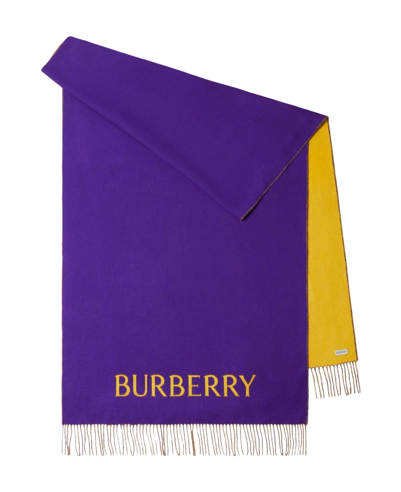 Logo Embroidered Fringed-edge Scarf - 1