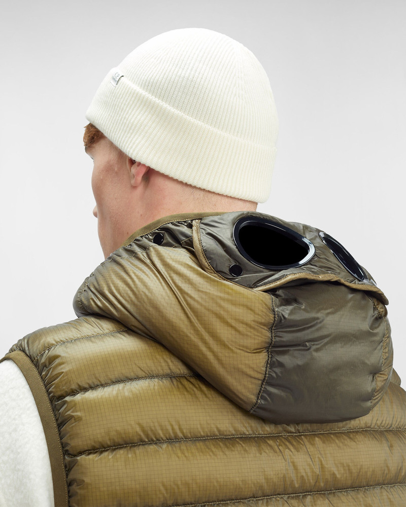 D.D. Shell Goggle Down Vest 5