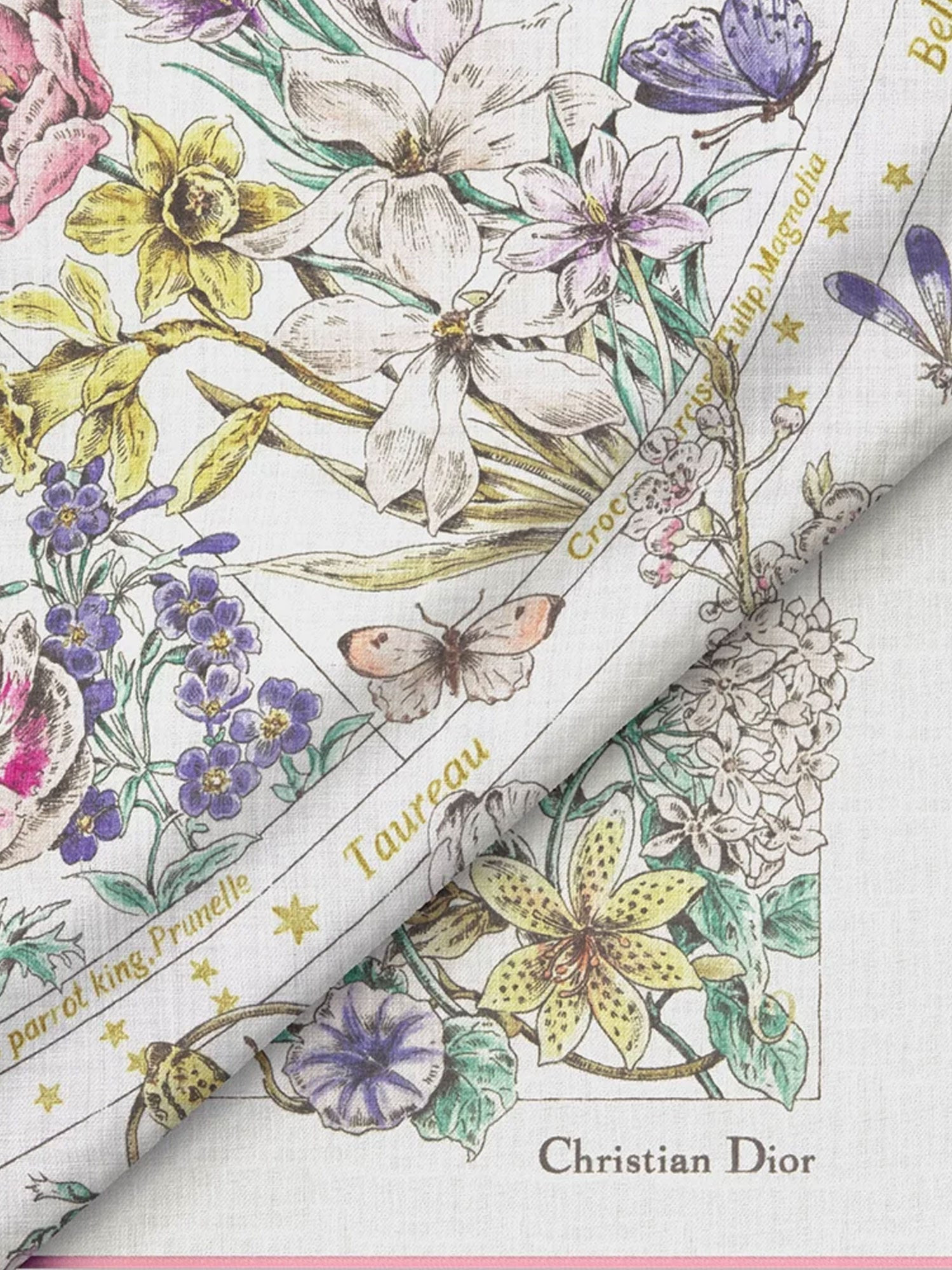 Dior Dior Astral Flowers Cashmere Shawl - 2