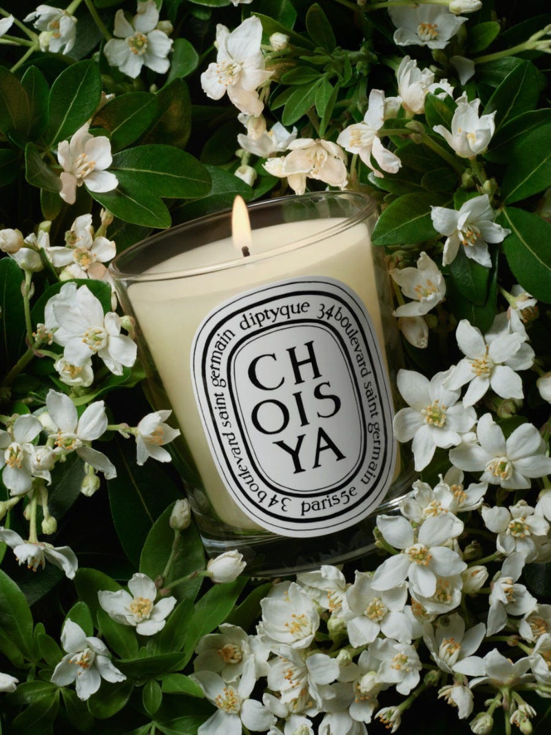 Choisya (Orange Blossom) - Classic Candle 4