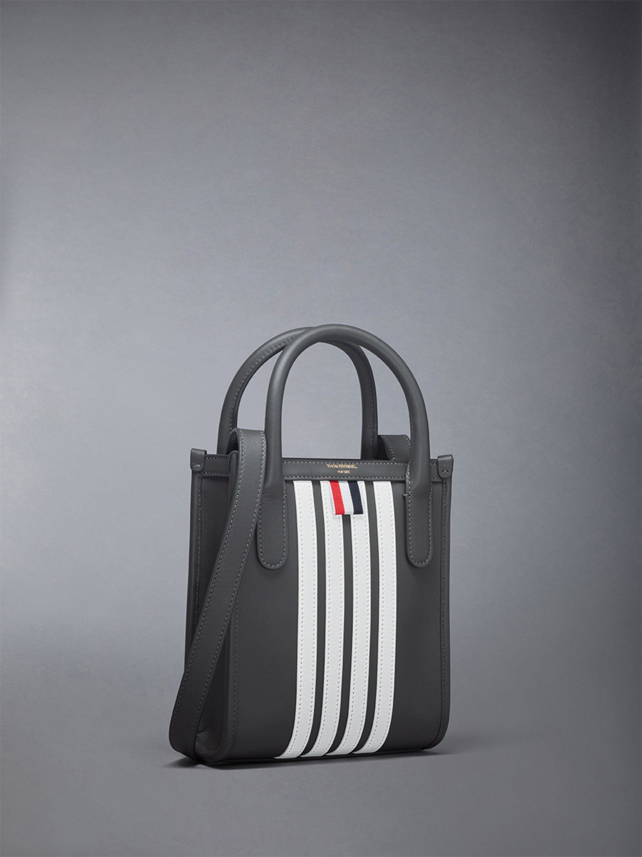 Vertical Mini Tote W/ 4 Bar Stripes in Smooth Calf - 2