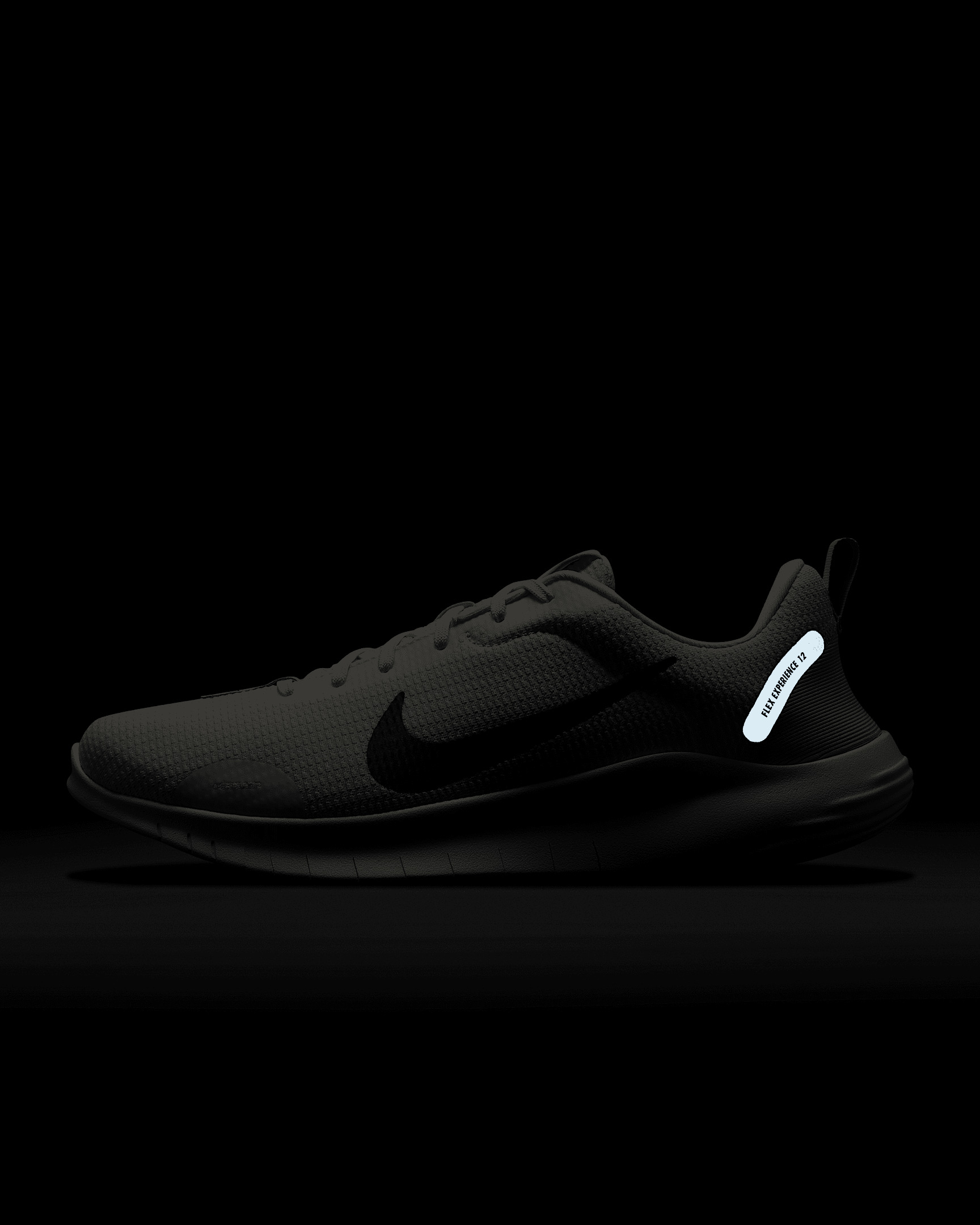 Nike Flex Experience Run 12 Men's Road Running Shoes - 10