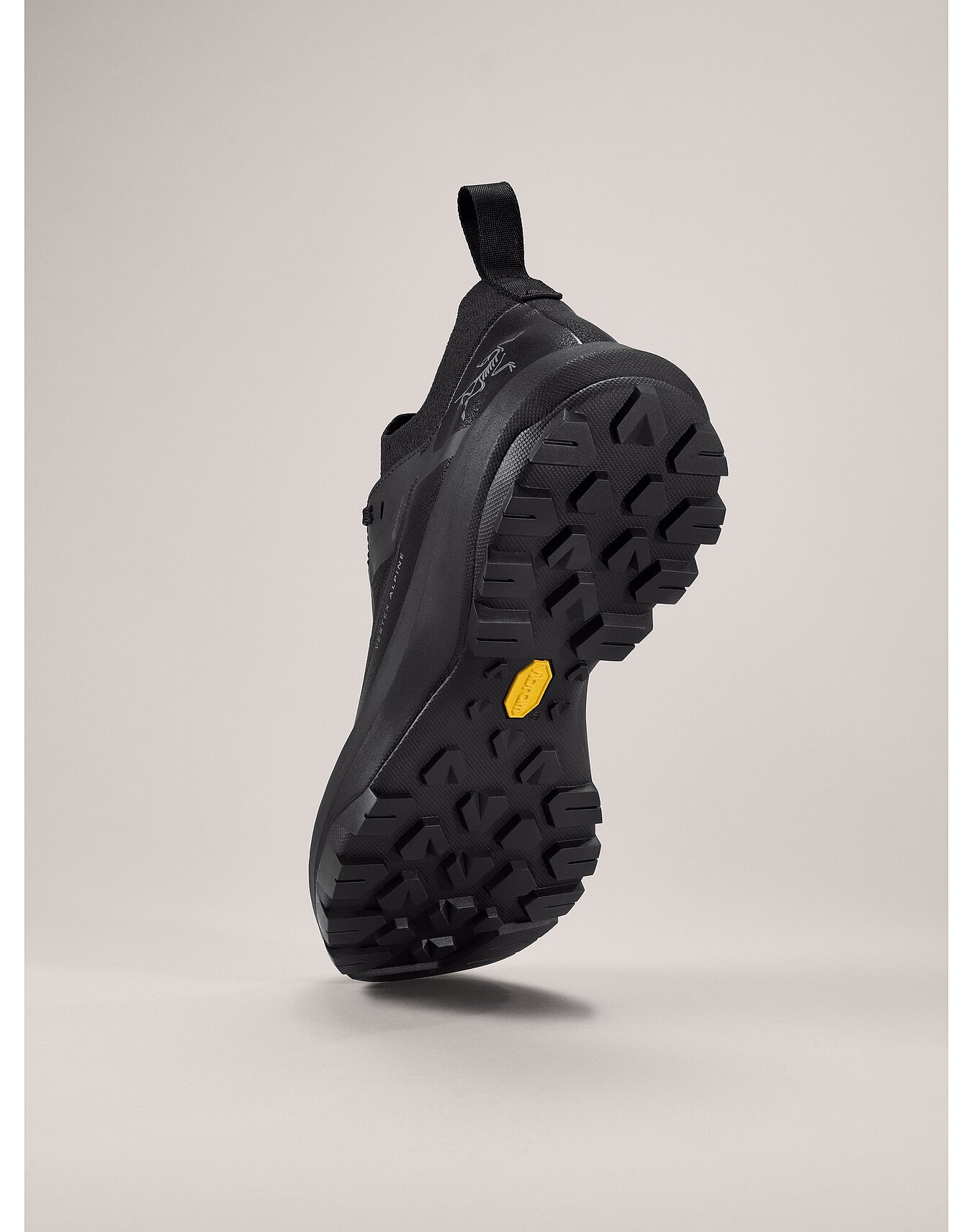 Vertex Alpine GTX Shoe - 4