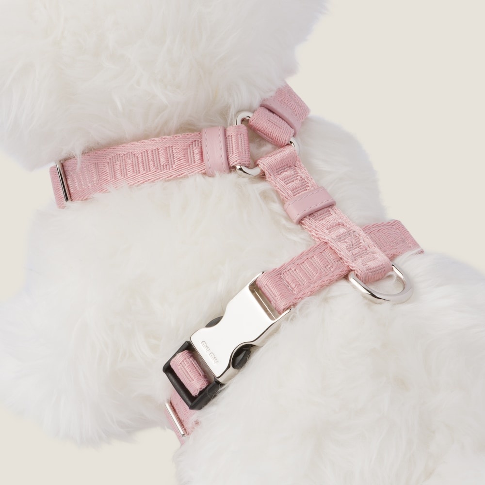 Woven tape dog harness - 3
