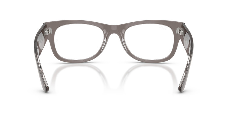 MEGA WAYFARER II OPTICS 6