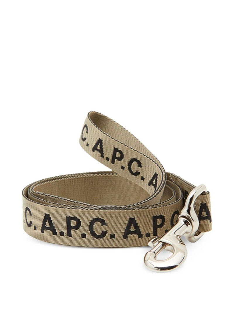 Toutou logo leash 1