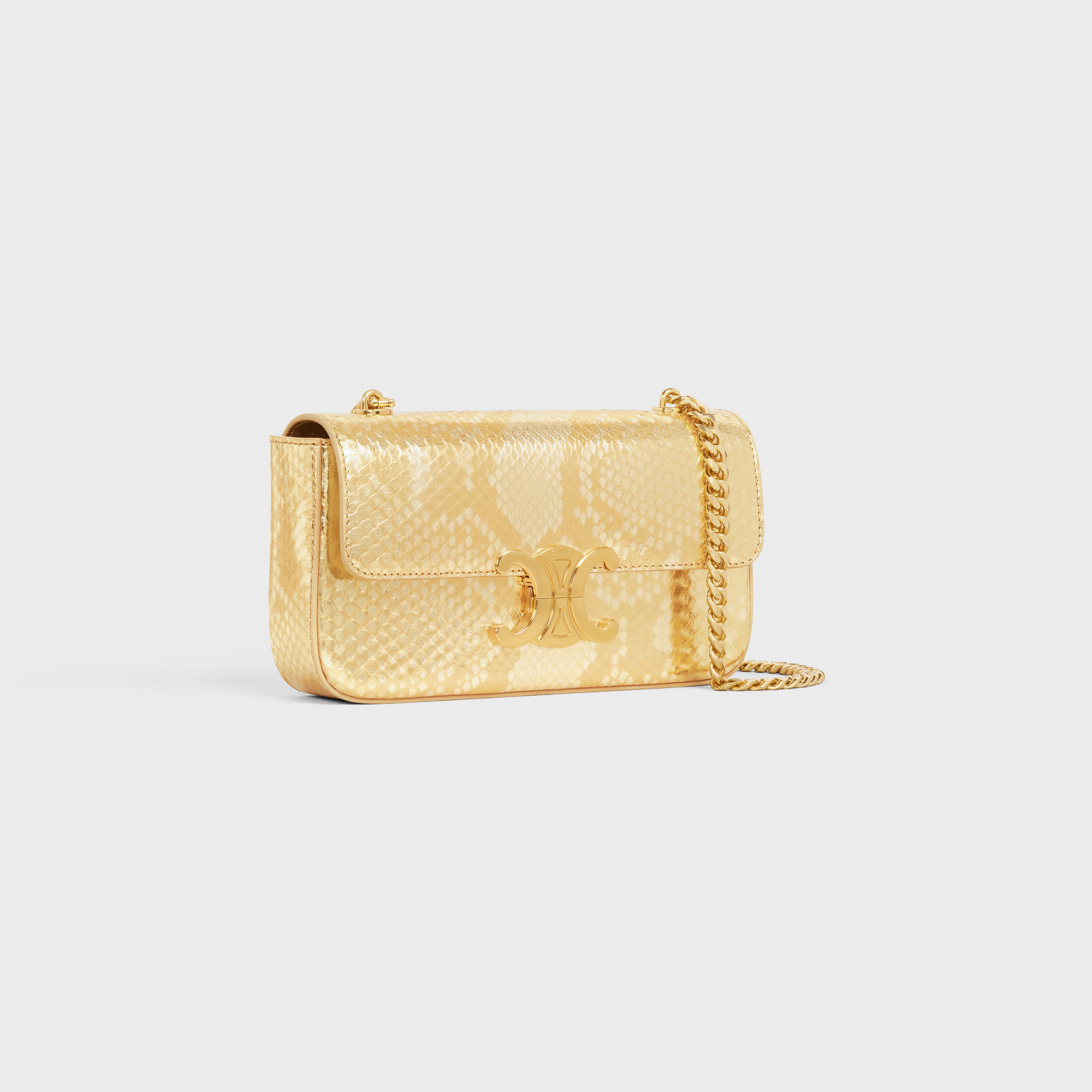 CHAIN SHOULDER BAG triomphe in PYTHON - 2