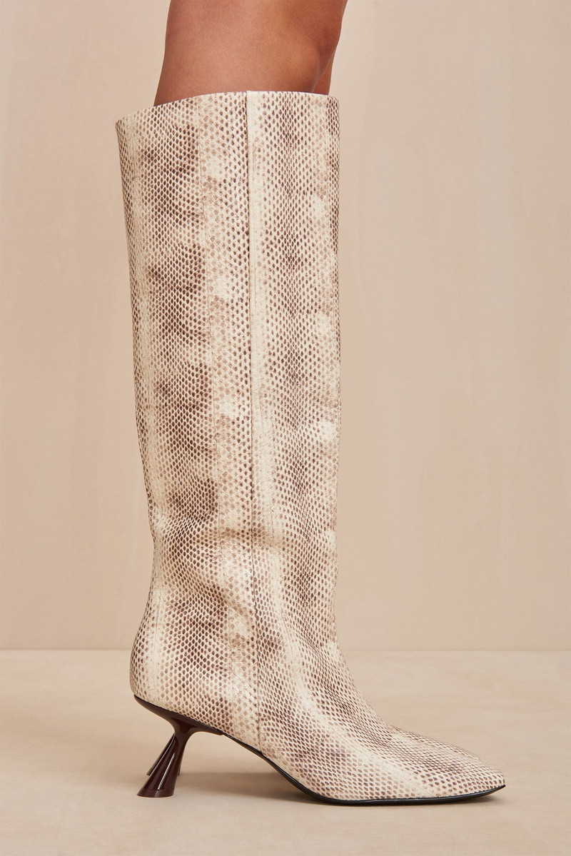 WREN BOOT 5