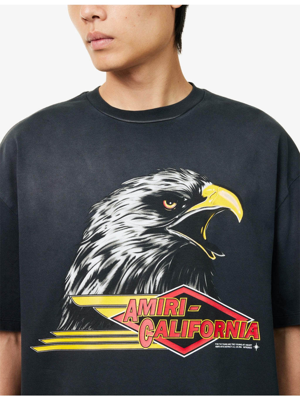 Eagle Graphic-Print Cotton-Jersey T-shirt - 5