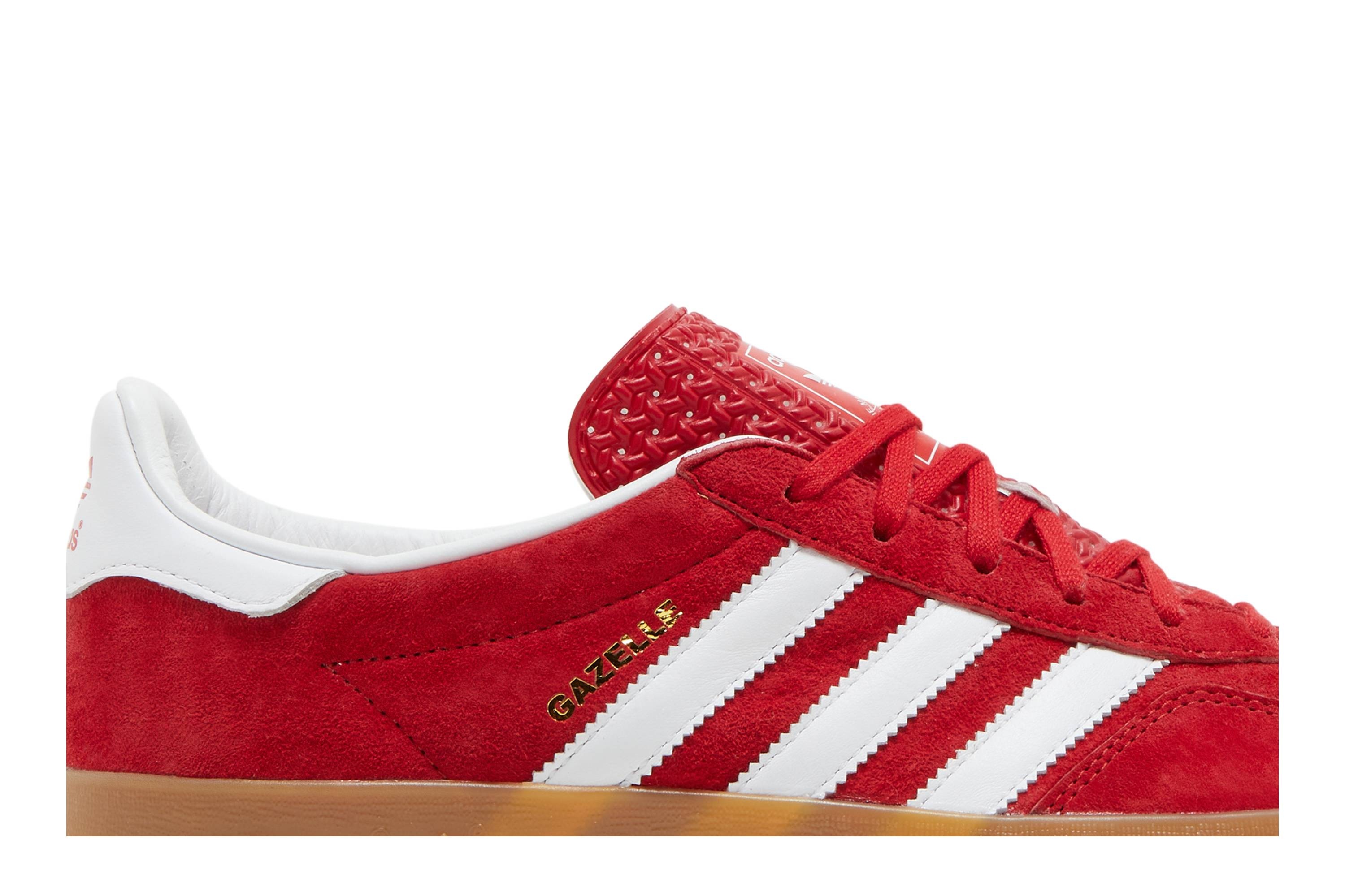 Gazelle Indoor 'Scarlet Gum' - 2