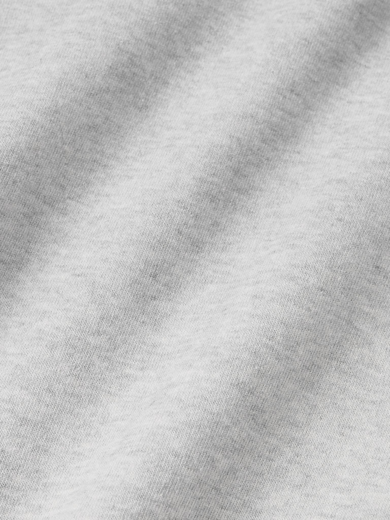 Franziska Garment-Dyed Distressed Logo-Print Cotton-Blend Jersey Hoodie Gray - 4