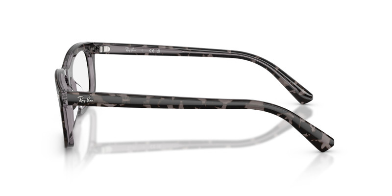 RB5450 OPTICS 5
