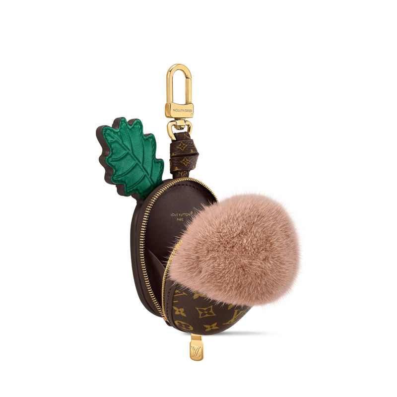 Louis Vuitton LV Acorn Pouch outlook