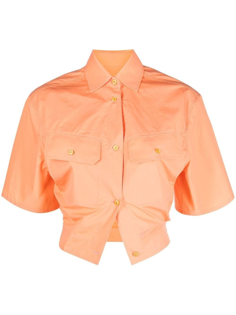 Toybox cropped shirt 1