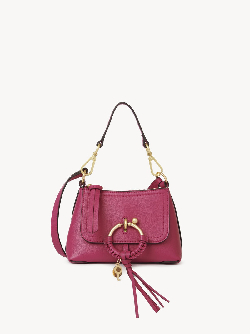 JOAN MINI CROSSBODY BAG 1