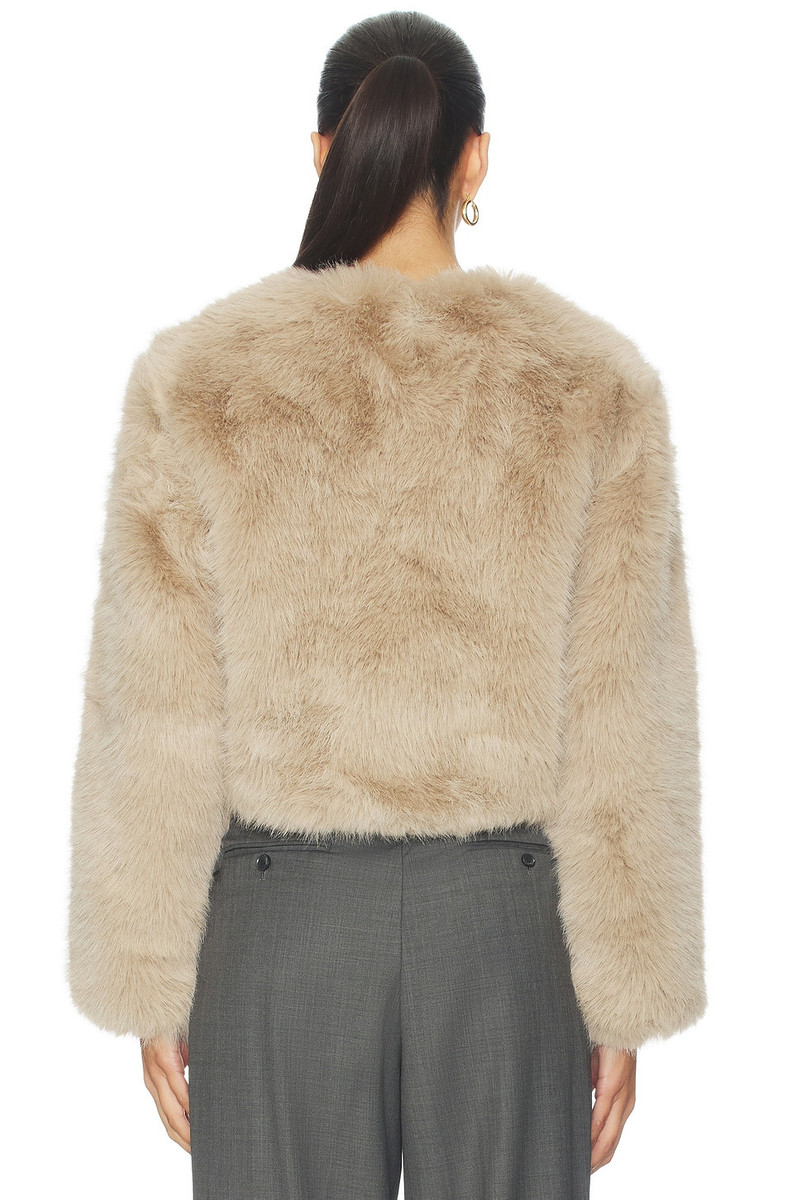 BLANKNYC Crop Faux Fur Coat outlook