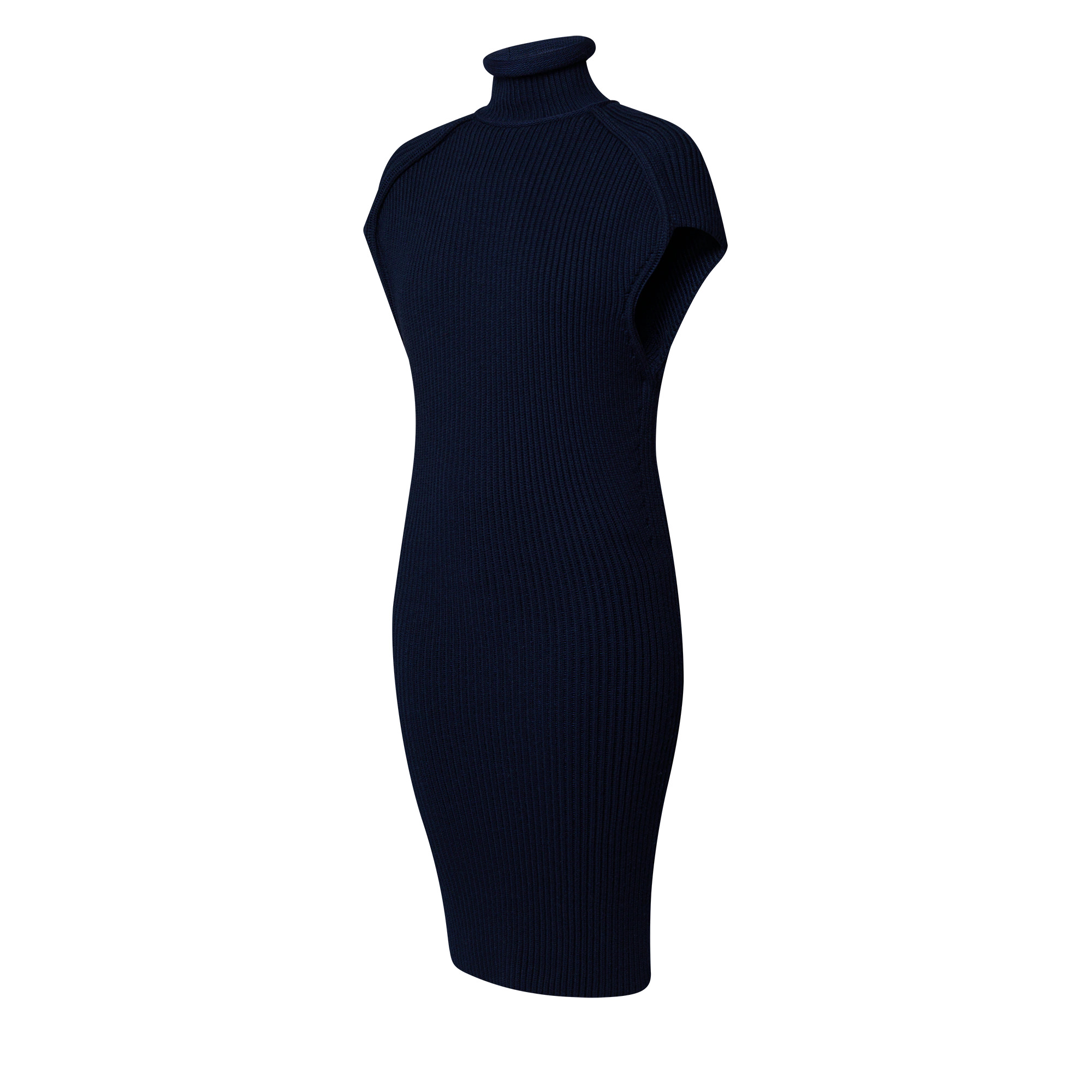 Roll Neck Ribbed Knit Dress - 2