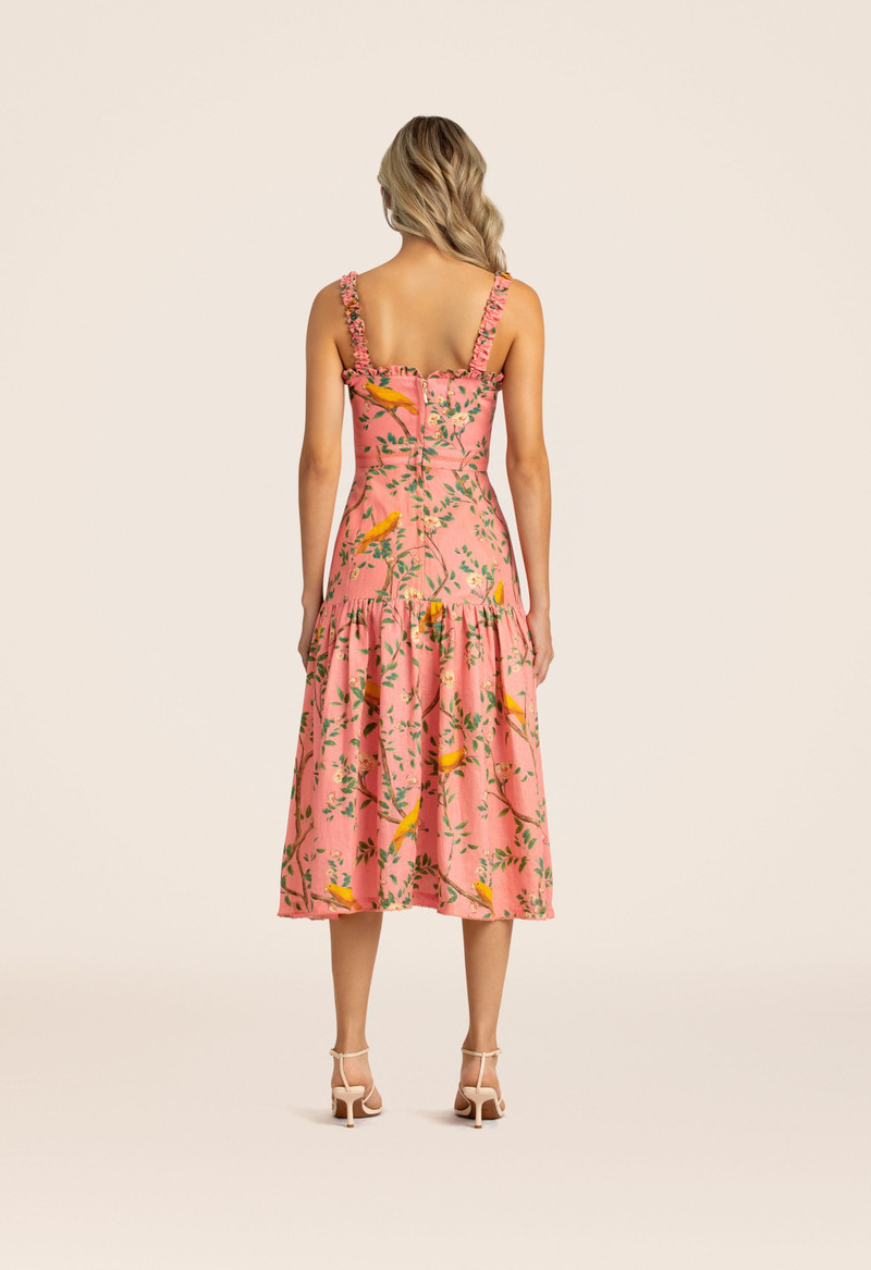 Níspero Canarios Pink Midi Dress 4