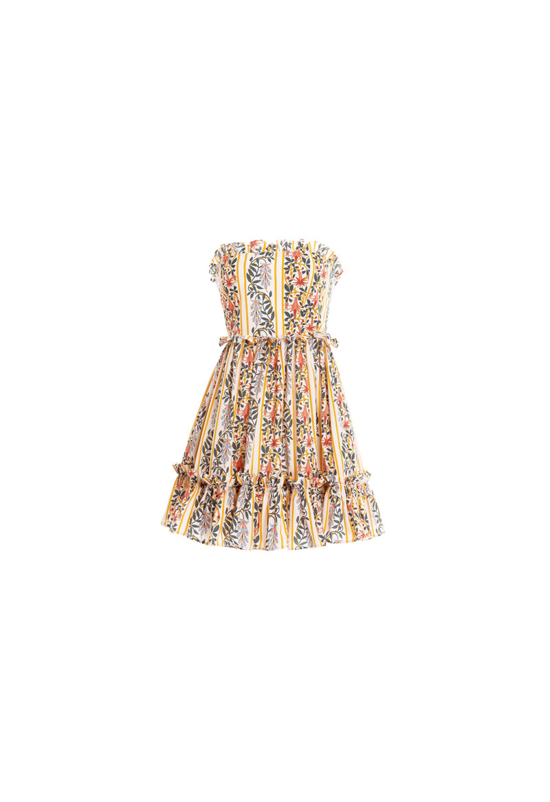 Rosa Lluvia Floral Mini Dress 1