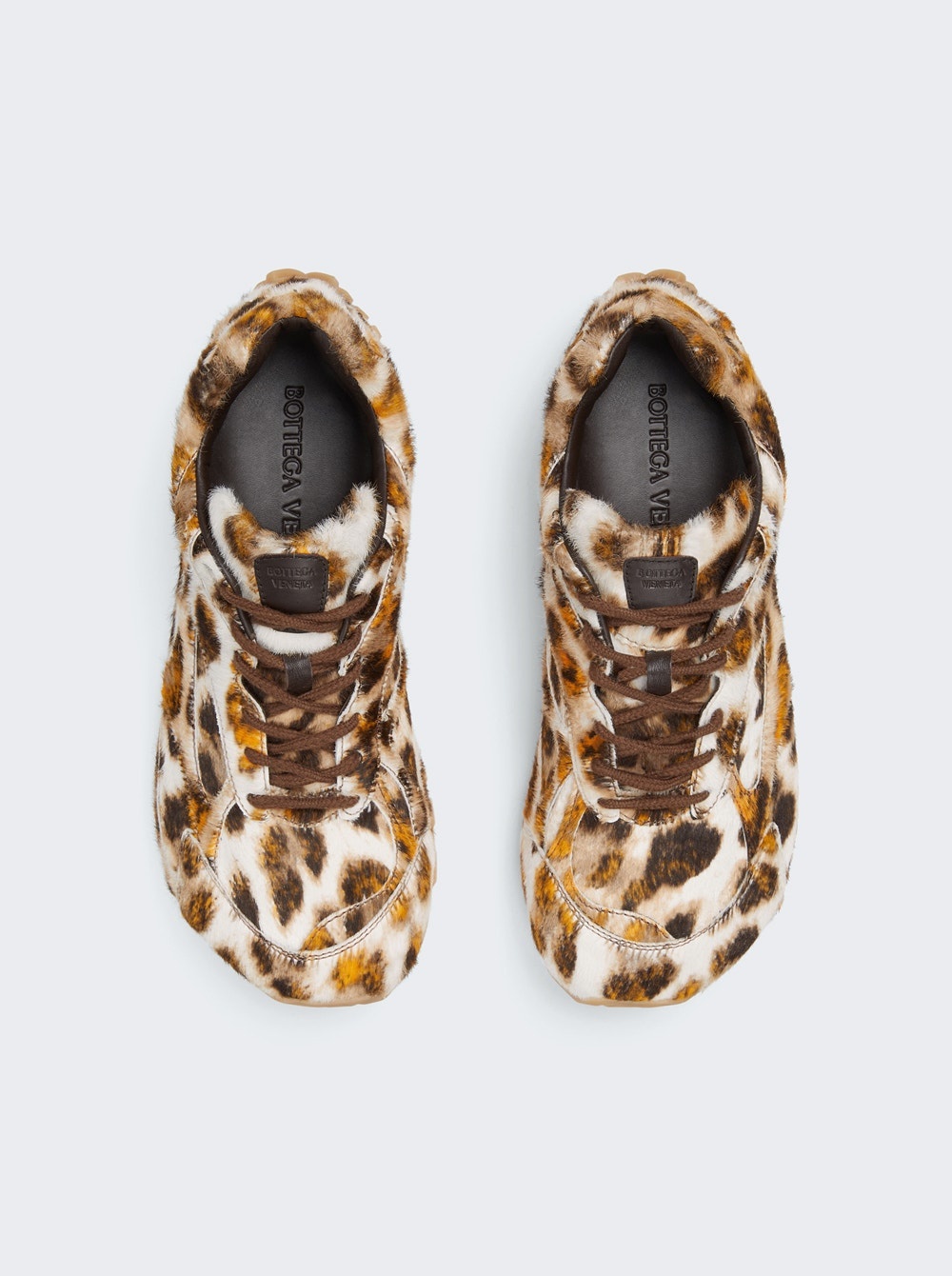 Orbit Sneaker Jaguar - 5