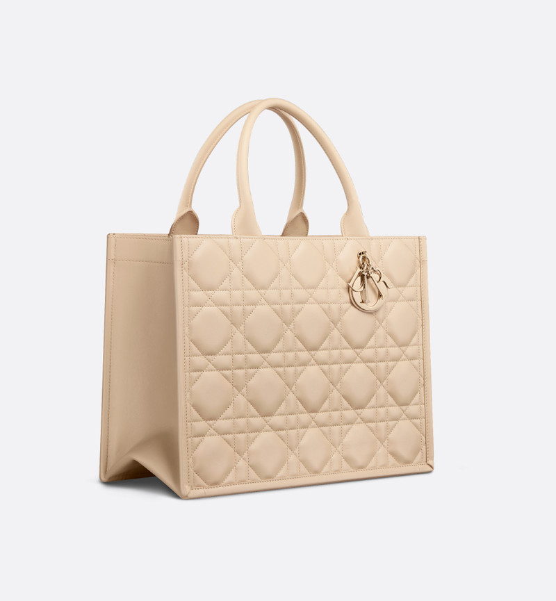Medium Dior Book Tote 6