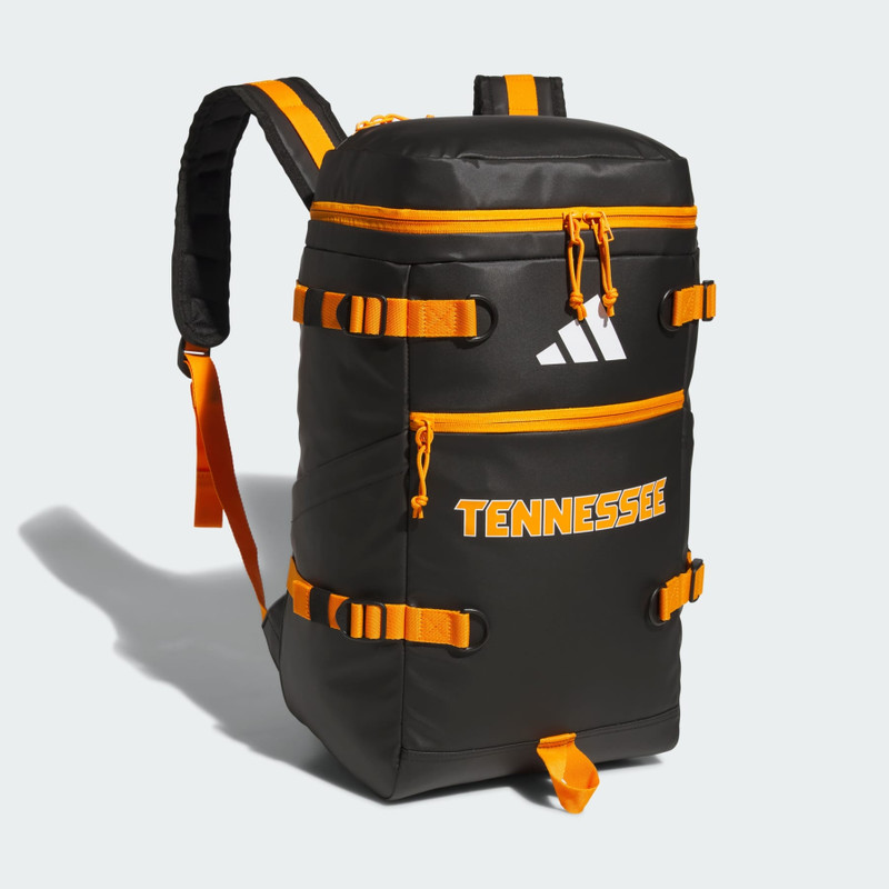 Collegiate Vista Backpack 4