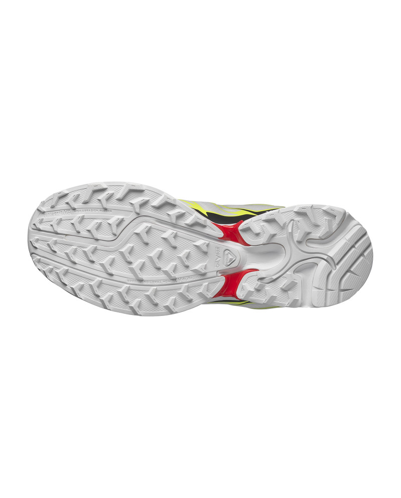 XT-PATHWAY 2 5