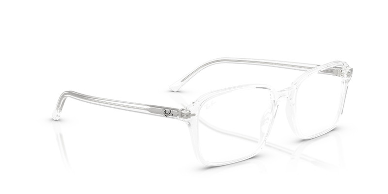 RAIMOND OPTICS 7