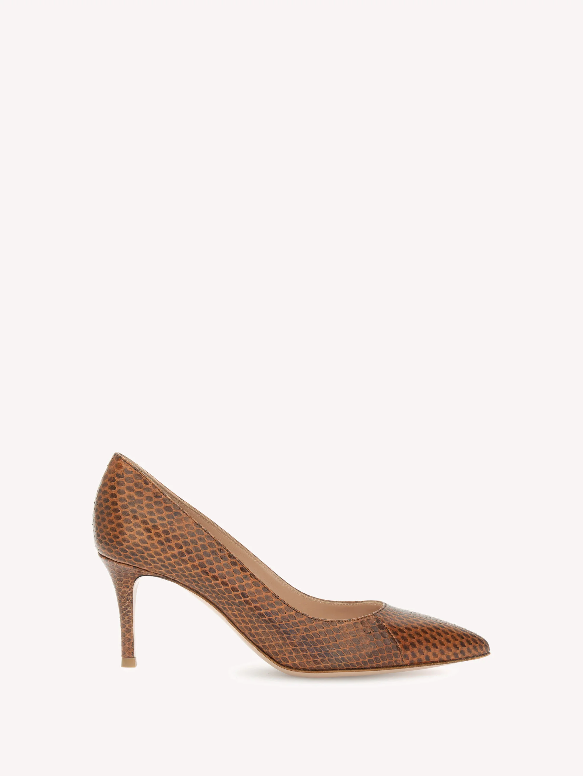 GIANVITO 70 - 1