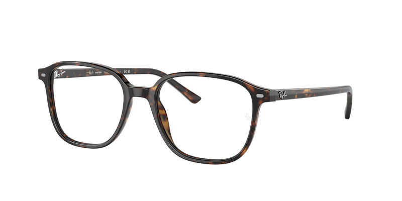 LEONARD TRANSITIONS® 5
