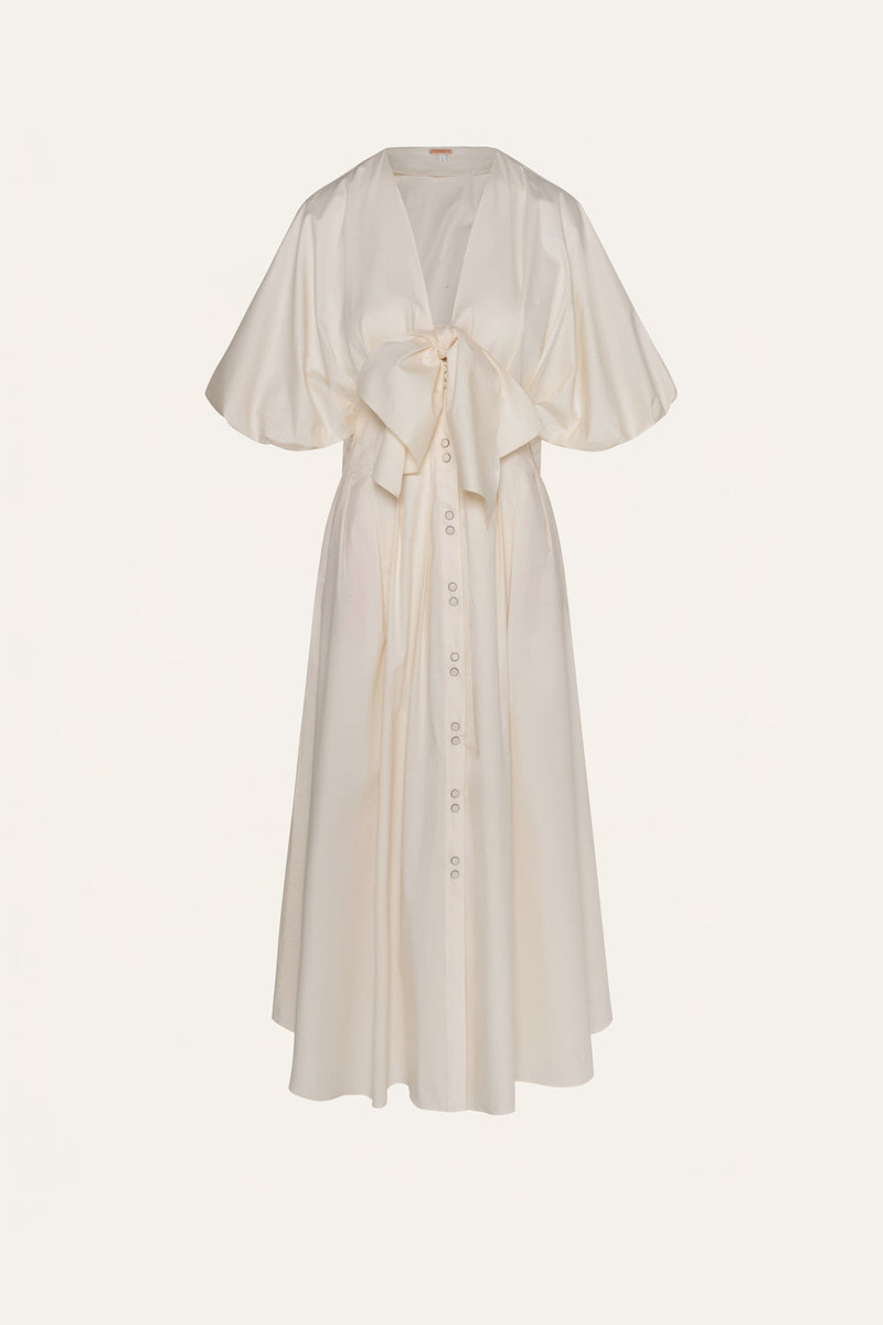 Endless Spring Dress 1