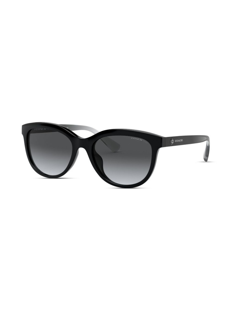 COACH cat-eye frame sunglasses outlook