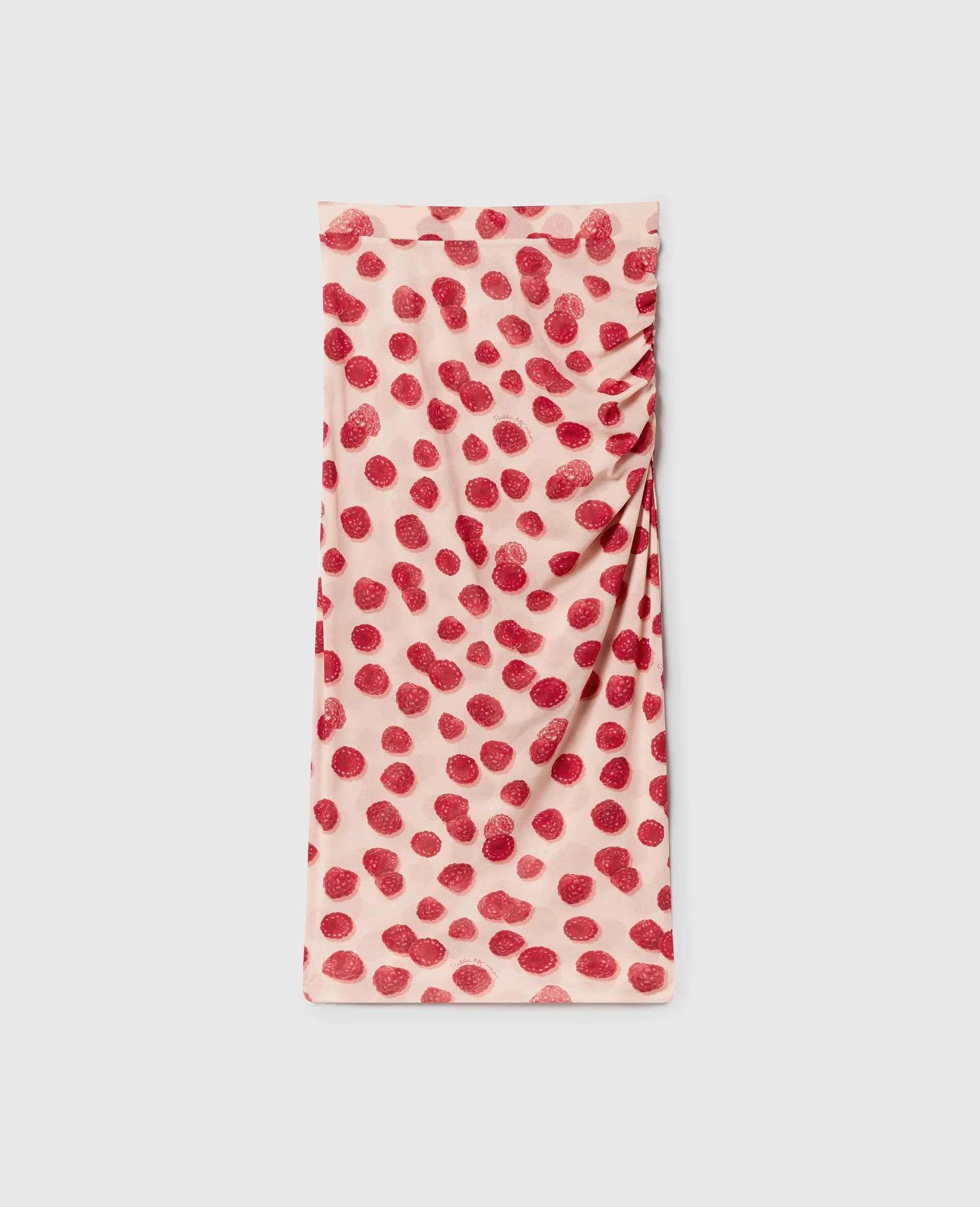 Raspberry Print Mesh Midi Skirt - 1