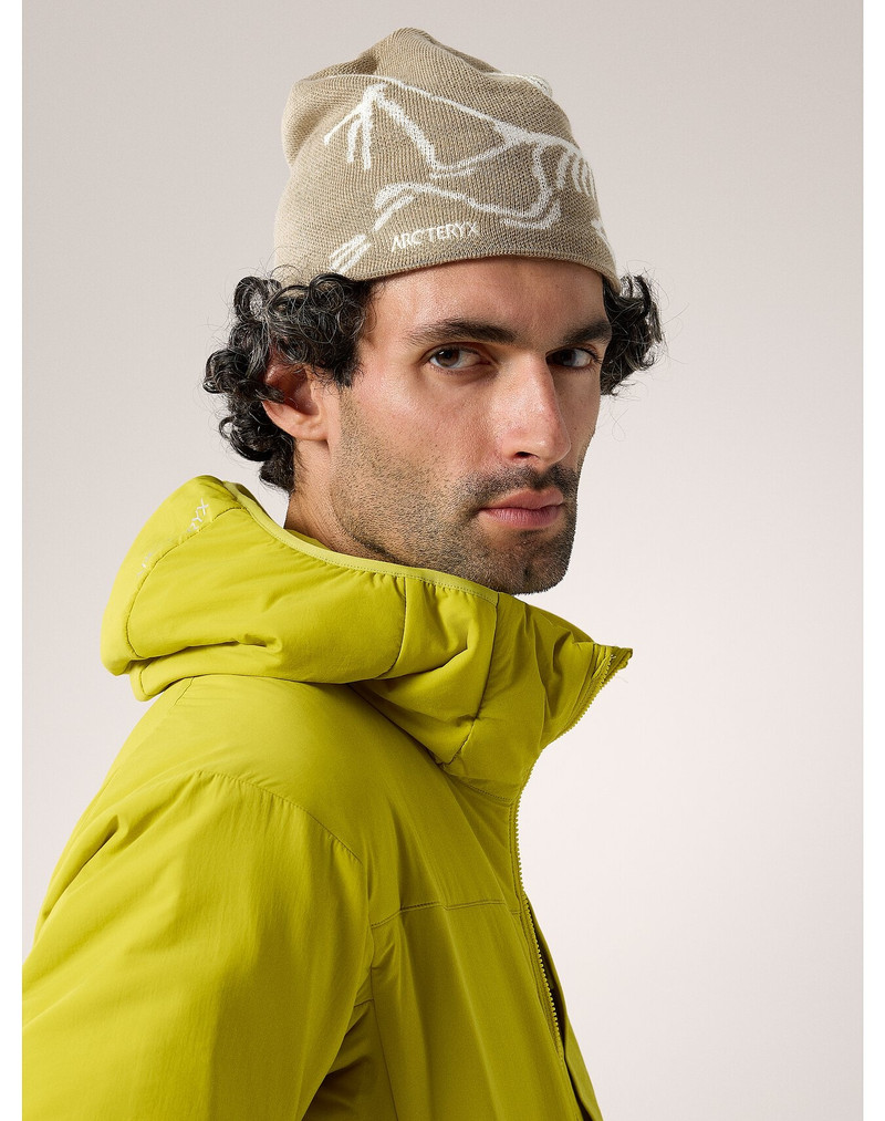 Arc'teryx Bird Head Toque outlook