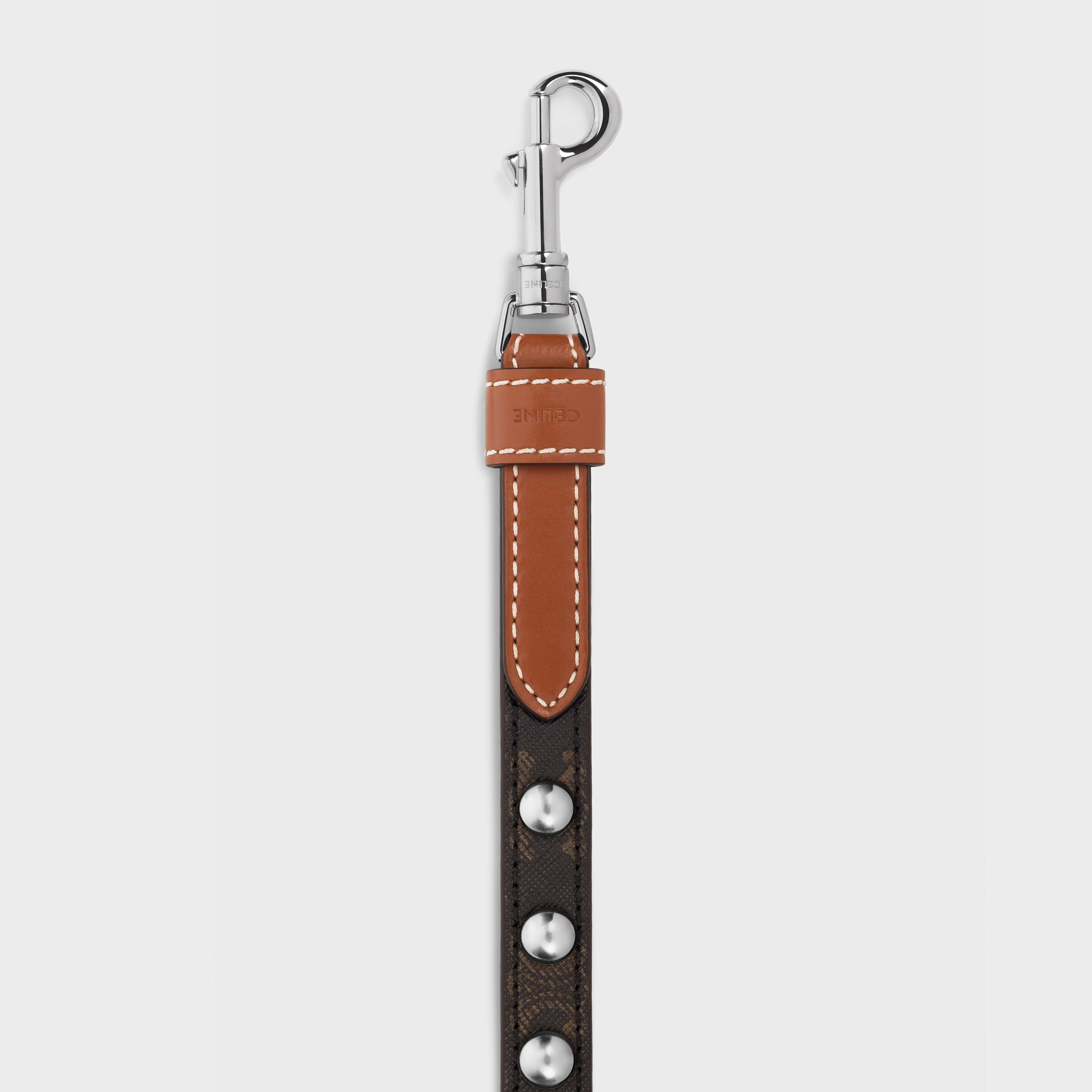 Adjustable Dog Leash in Triomphe Canvas and Calfskin with Studs - 3