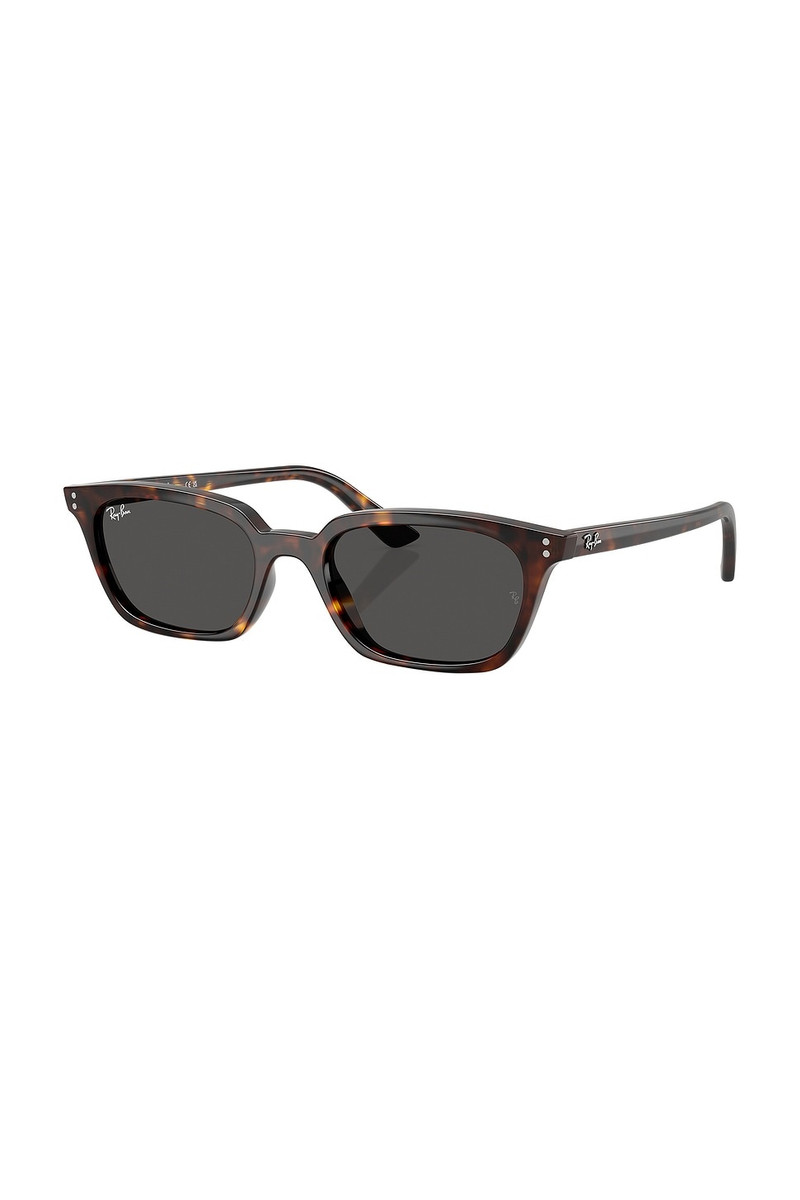 Ray-Ban Zaya Sunglasses outlook