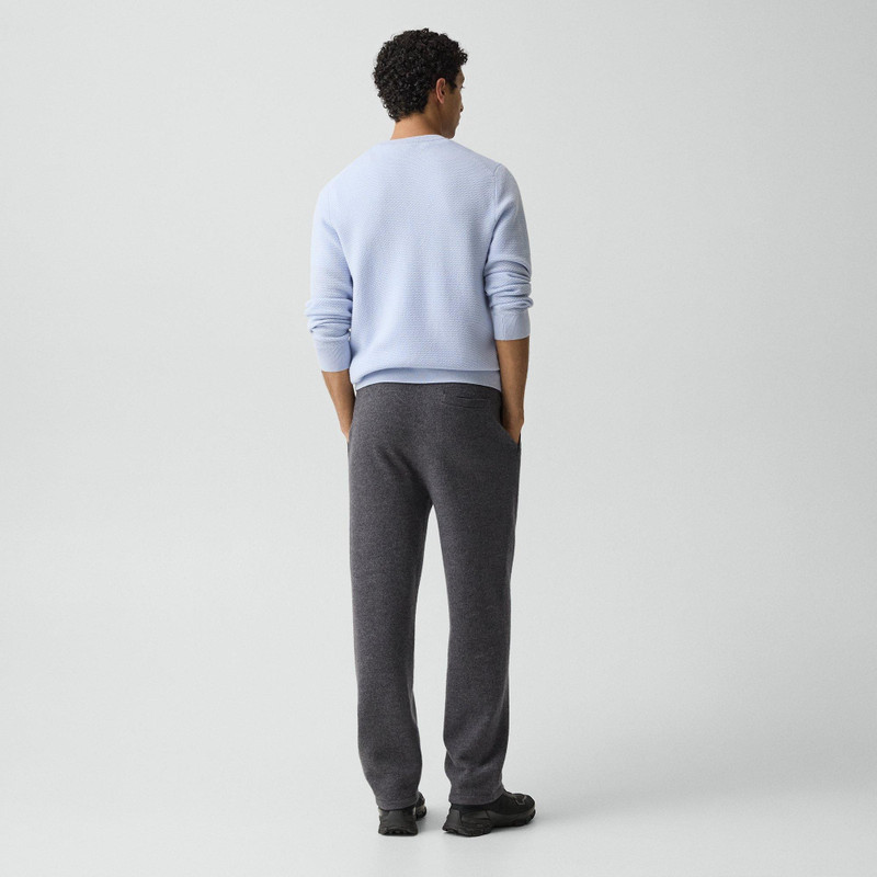 Theory Jogger in Boiled Wool outlook
