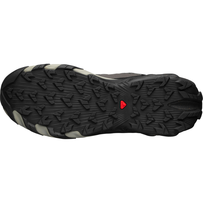 SALOMON SPEEDVERSE PRG outlook