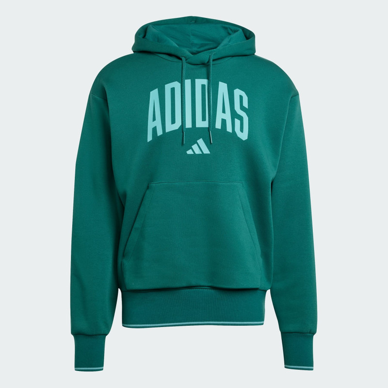 Collegiate Hoodie 1