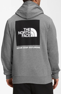 The North Face NSE Box Logo Graphic Hoodie in Medium Grey