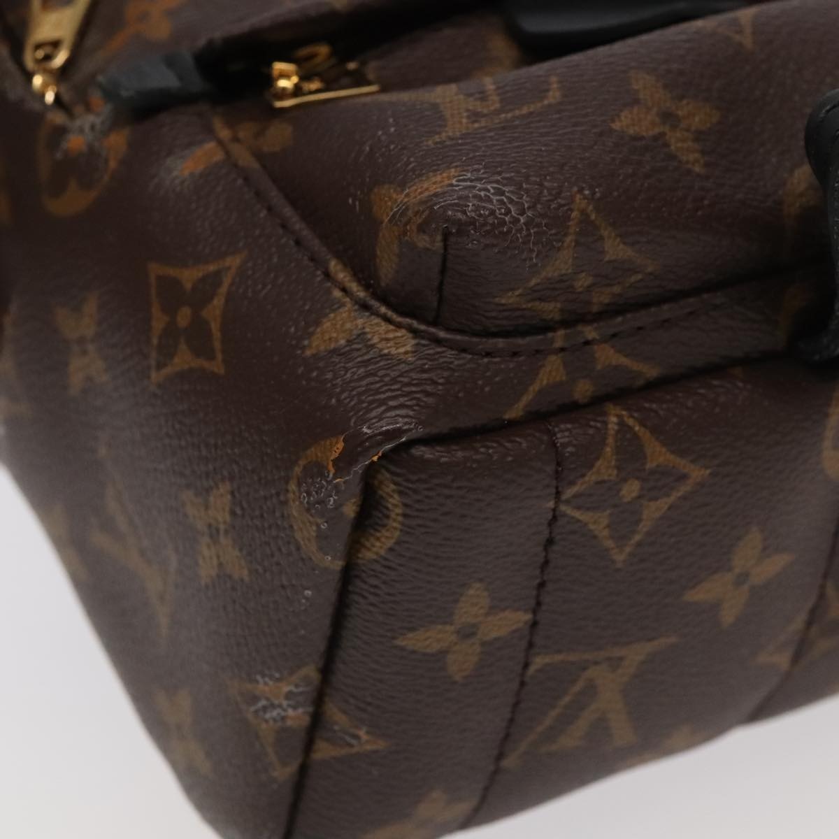 LOUIS VUITTON Monogram Palm Springs Mini Backpack M41562 - 9
