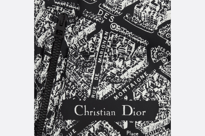 DiorAlps Hooded Down Jacket 7