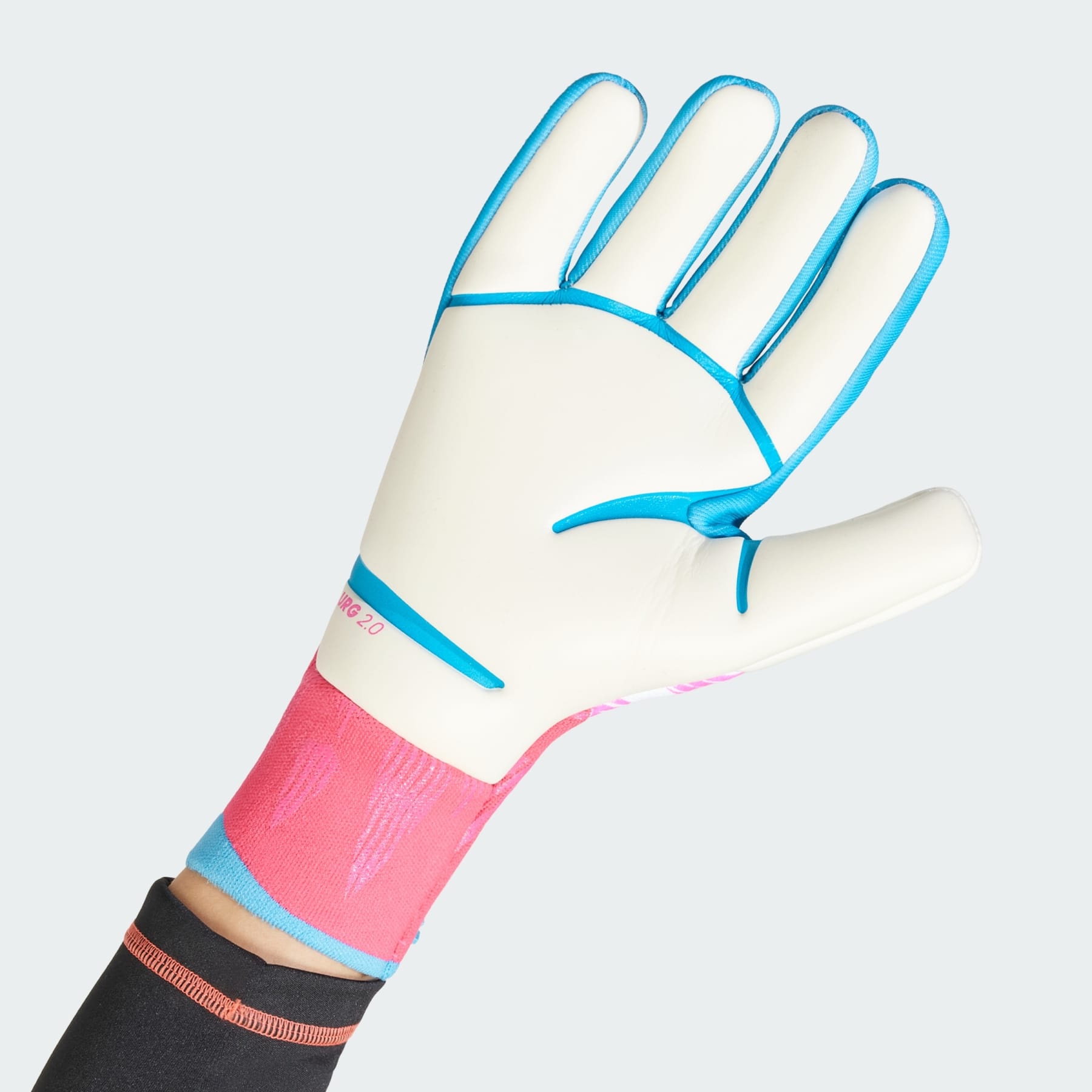 Predator Pro Goalkeeper Gloves - 2