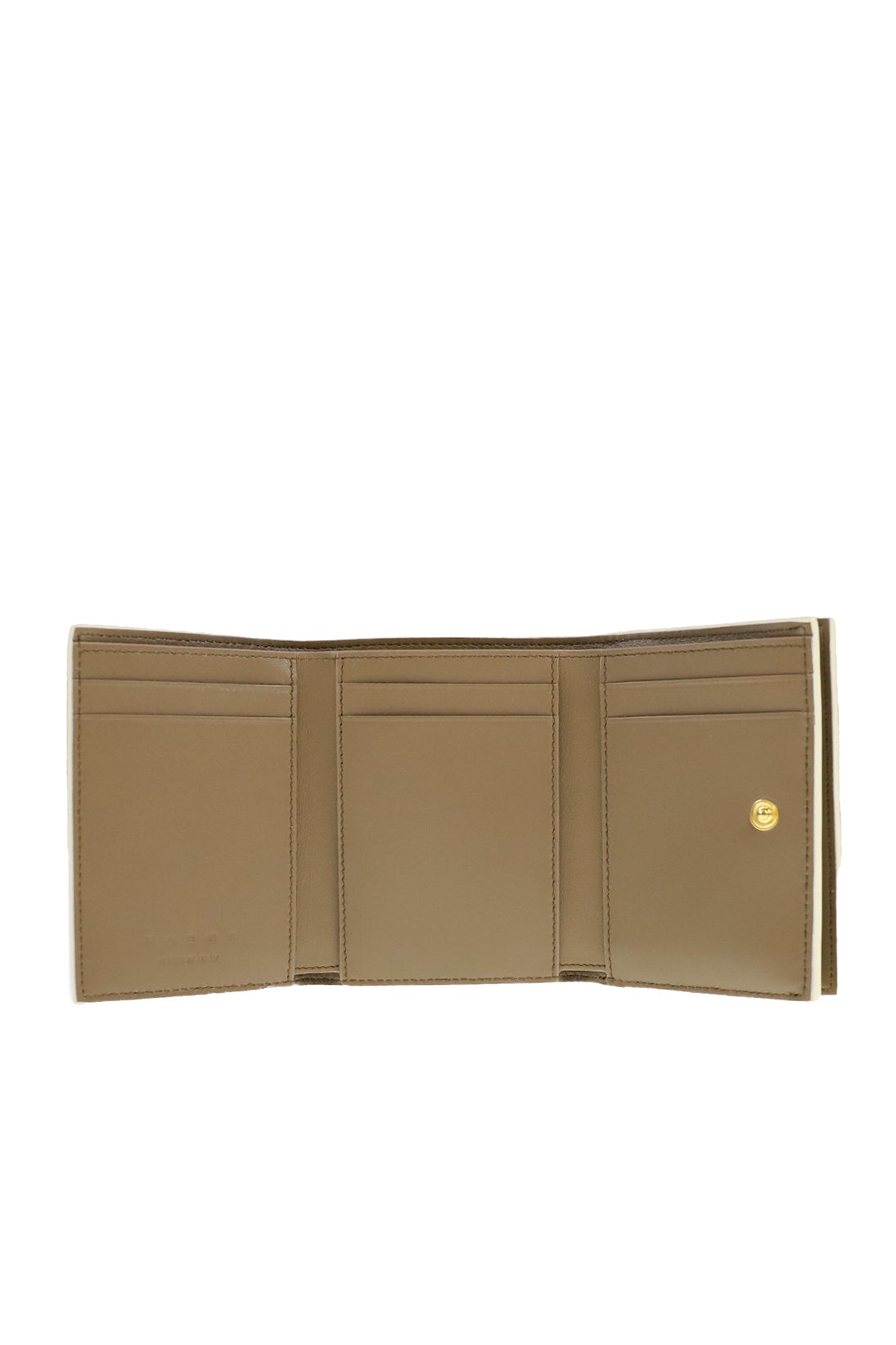 TRIFOLD / IVORY - 5